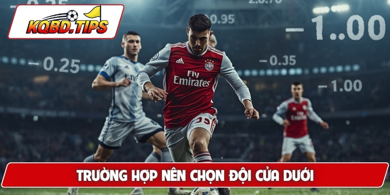 Trường hợp nên chọn đội cửa dưới